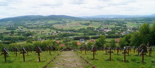 DSC06740